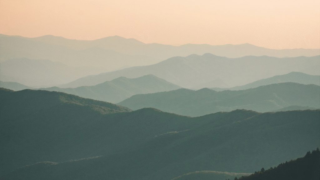 Shaping Hospitality
through purposeful
Investment